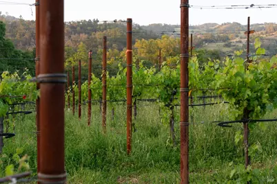 21350 River Road, Geyserville, CA 95441 - Photo 15