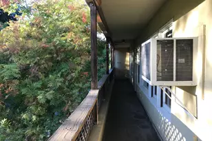 290 Seminary Ave, Ukiah, CA 95482 - Photo 13