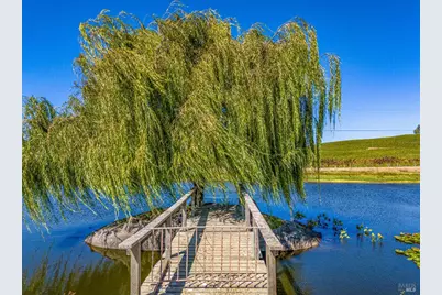 1289 Duhig Road, Napa, CA 94559 - Photo 3