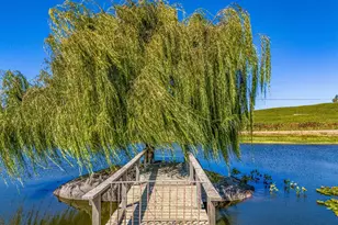 1289 Duhig Rd, Napa, CA 94559 - Photo 3