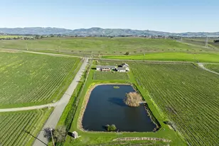 1289 Duhig Rd, Napa, CA 94559 - Photo 49