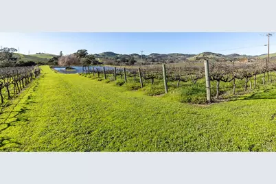 1289 Duhig Road, Napa, CA 94559 - Photo 61