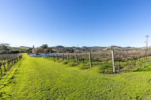 1289 Duhig Rd, Napa, CA 94559 - Photo 61