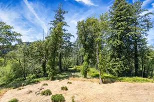 10800 Falstaff Rd, Sebastopol, CA 95472 - Photo 49