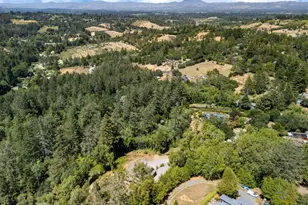 10800 Falstaff Rd, Sebastopol, CA 95472 - Photo 65