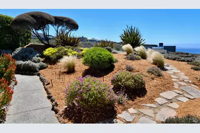 590 Swan Drive, Bodega Bay, CA 94923 - Photo 43