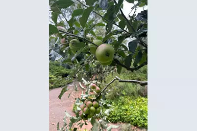 2400 Nelligan Road, Glen Ellen, CA 95442 - Photo 47