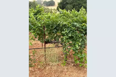 2400 Nelligan Road, Glen Ellen, CA 95442 - Photo 63