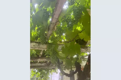 2400 Nelligan Road, Glen Ellen, CA 95442 - Photo 49