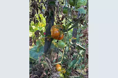 2400 Nelligan Road, Glen Ellen, CA 95442 - Photo 69