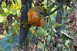 2400 Nelligan Rd, Glen Ellen, CA 95442 - Photo 69