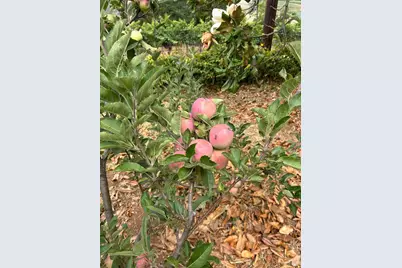 2400 Nelligan Road, Glen Ellen, CA 95442 - Photo 59