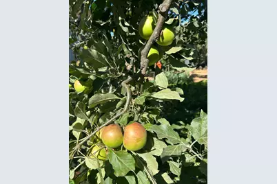 2400 Nelligan Road, Glen Ellen, CA 95442 - Photo 67