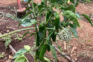 2400 Nelligan Rd, Glen Ellen, CA 95442 - Photo 57