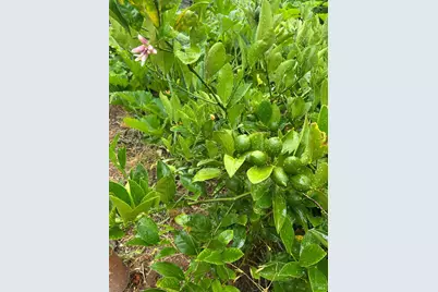 2400 Nelligan Road, Glen Ellen, CA 95442 - Photo 55