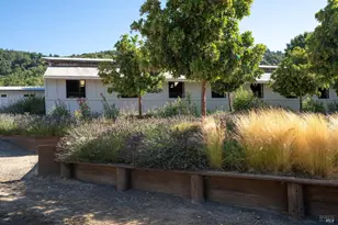 3777 Vineyard Rd, Novato, CA 94947 - Photo 5