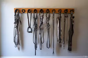 3777 Vineyard Rd, Novato, CA 94947 - Photo 27