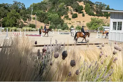 3777 Vineyard Road, Novato, CA 94947 - Photo 7