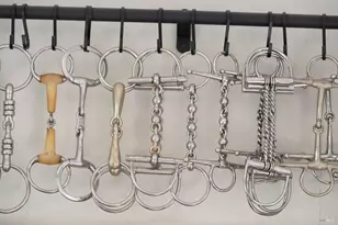 3777 Vineyard Rd, Novato, CA 94947 - Photo 25