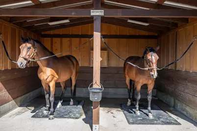 3777 Vineyard Road, Novato, CA 94947 - Photo 29