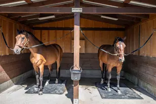 3777 Vineyard Rd, Novato, CA 94947 - Photo 29