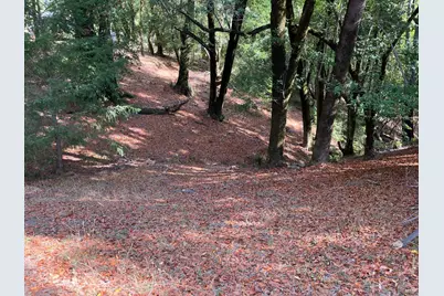 38555 Hauser Bridge Road, Cazadero, CA 95421 - Photo 83