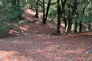 38555 Hauser Bridge Rd, Cazadero, CA 95421 - Photo 83