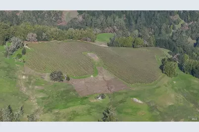 38555 Hauser Bridge Road, Cazadero, CA 95421 - Photo 39