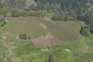 38555 Hauser Bridge Rd, Cazadero, CA 95421 - Photo 39