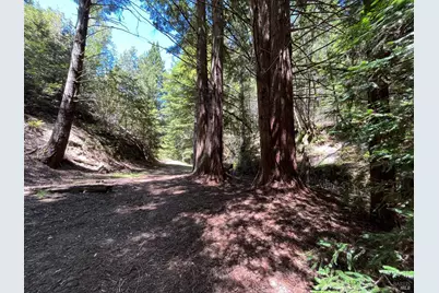 38555 Hauser Bridge Road, Cazadero, CA 95421 - Photo 79