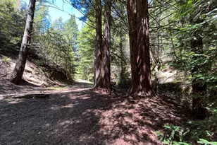 38555 Hauser Bridge Rd, Cazadero, CA 95421 - Photo 79