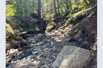 38555 Hauser Bridge Road, Cazadero, CA 95421 - Photo 93