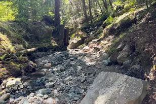 38555 Hauser Bridge Rd, Cazadero, CA 95421 - Photo 93