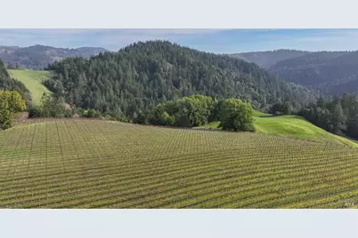 38555 Hauser Bridge Road, Cazadero, CA 95421 - Photo 47