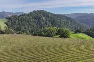 38555 Hauser Bridge Rd, Cazadero, CA 95421 - Photo 47