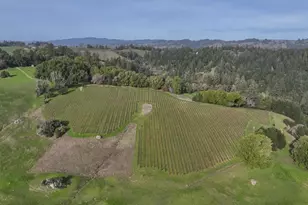 38555 Hauser Bridge Rd, Cazadero, CA 95421 - Photo 41
