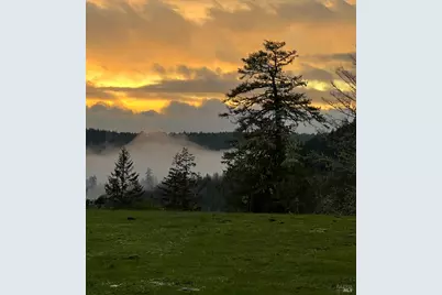 38555 Hauser Bridge Road, Cazadero, CA 95421 - Photo 79