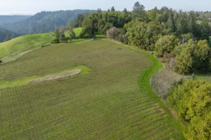 38555 Hauser Bridge Rd, Cazadero, CA 95421 - Photo 37