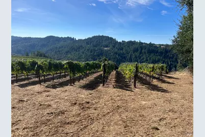 38555 Hauser Bridge Road, Cazadero, CA 95421 - Photo 79