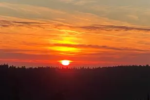 38555 Hauser Bridge Rd, Cazadero, CA 95421 - Photo 69