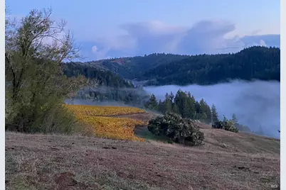 38555 Hauser Bridge Road, Cazadero, CA 95421 - Photo 75