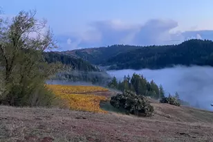 38555 Hauser Bridge Rd, Cazadero, CA 95421 - Photo 75