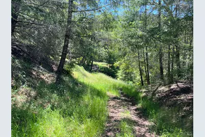 38555 Hauser Bridge Road, Cazadero, CA 95421 - Photo 87