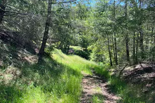 38555 Hauser Bridge Rd, Cazadero, CA 95421 - Photo 87