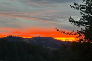 38555 Hauser Bridge Rd, Cazadero, CA 95421 - Photo 67