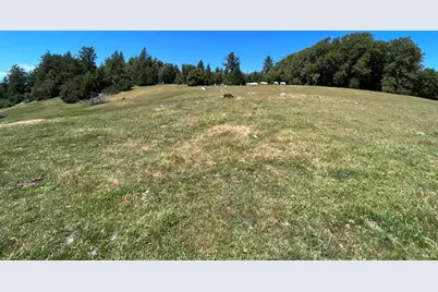 38555 Hauser Bridge Road, Cazadero, CA 95421 - Photo 55