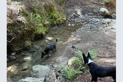 38555 Hauser Bridge Road, Cazadero, CA 95421 - Photo 65