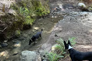 38555 Hauser Bridge Rd, Cazadero, CA 95421 - Photo 65