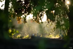 38555 Hauser Bridge Rd, Cazadero, CA 95421 - Photo 61