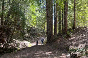 38555 Hauser Bridge Rd, Cazadero, CA 95421 - Photo 85